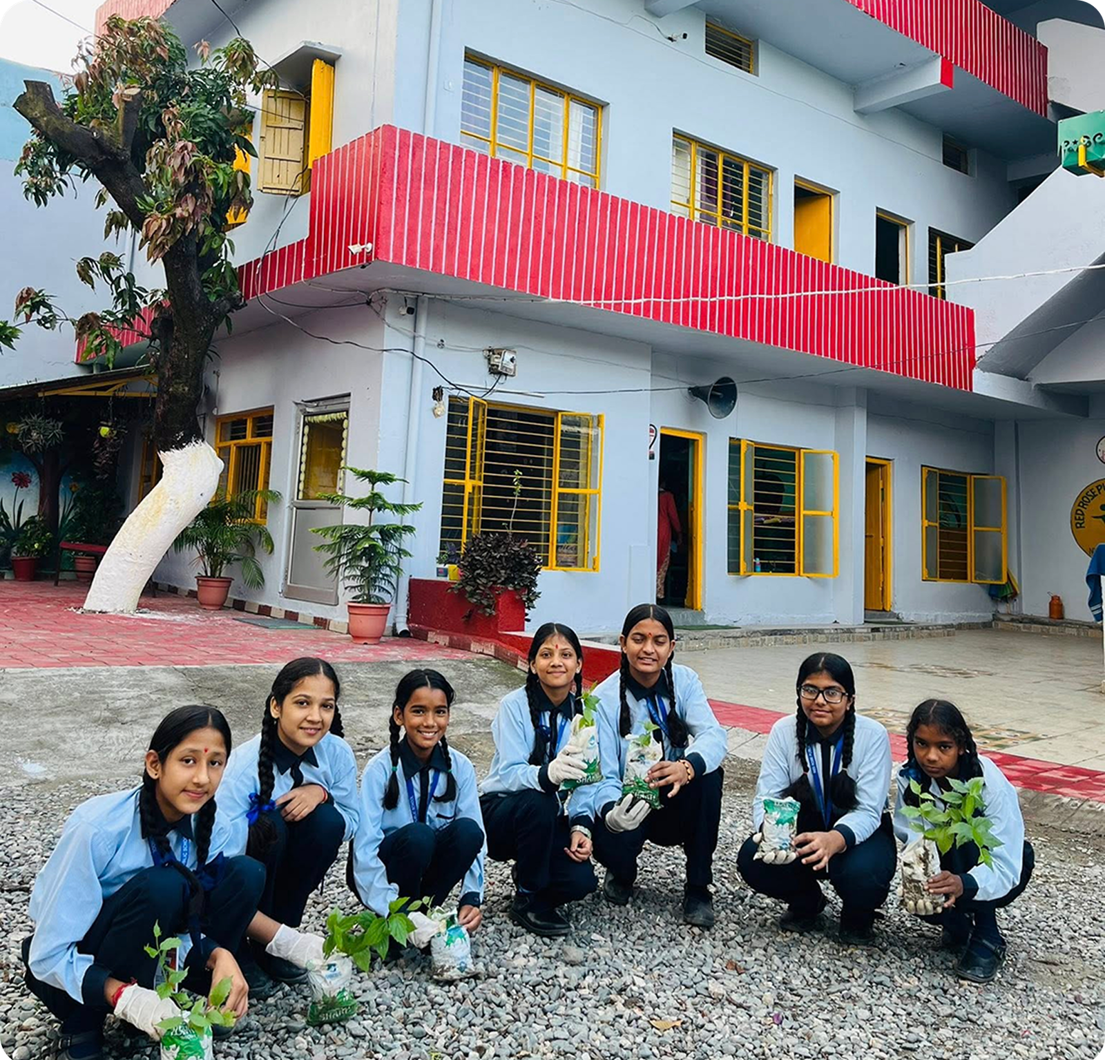 School Gallery Image